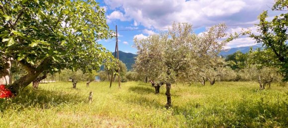 Дом с 8 комнатами в Вилла Санта Мария, Италия № 252324 24