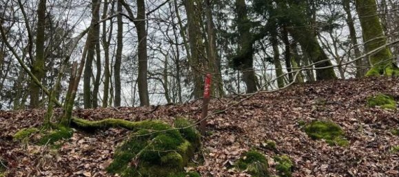 Casa de 1 dormitorio en Hanviller, France No. 65754 5