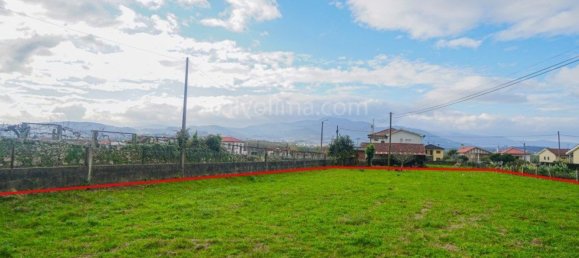 1026m² Land in Ganfei, Portugal No. 64146 5