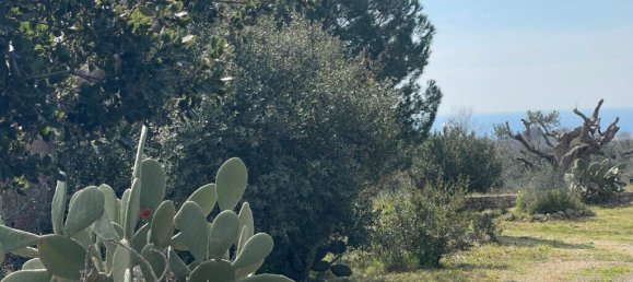 1 chambre Maison à Salve, Italy No. 59366 22