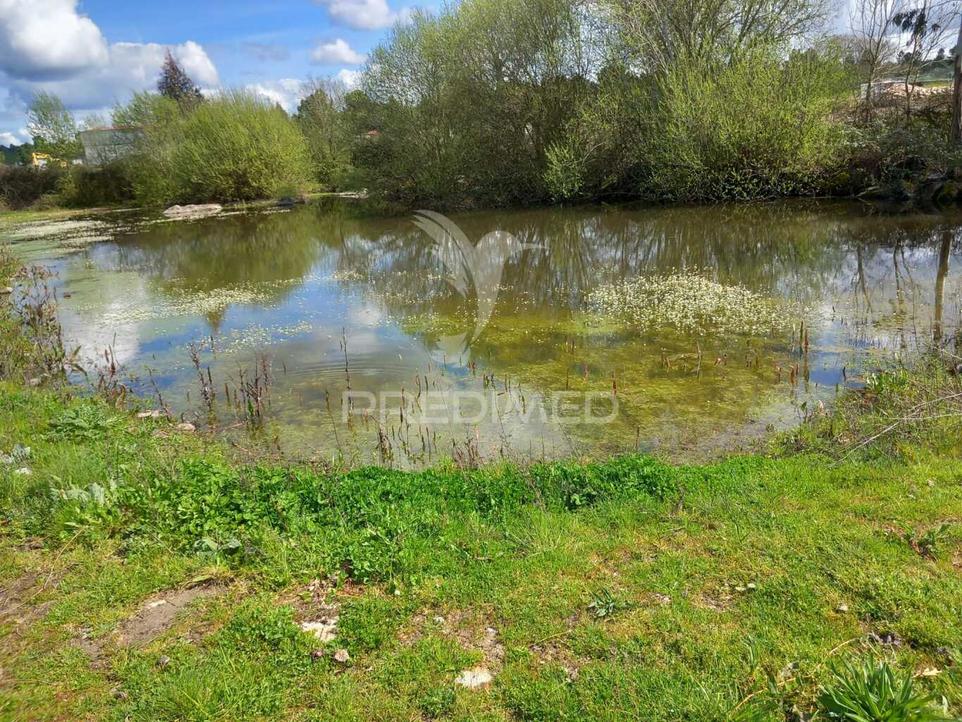 10 غرف نوم منزل في Meda, Portugal رقم 322375