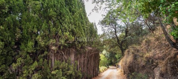 8 Schlafzimmer Haus in Granada, Spain, Nr. 169743 3