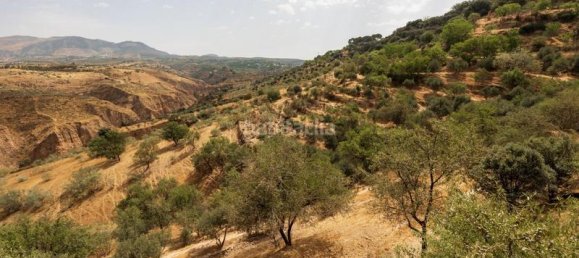8 Schlafzimmer Haus in Granada, Spain, Nr. 169743 39