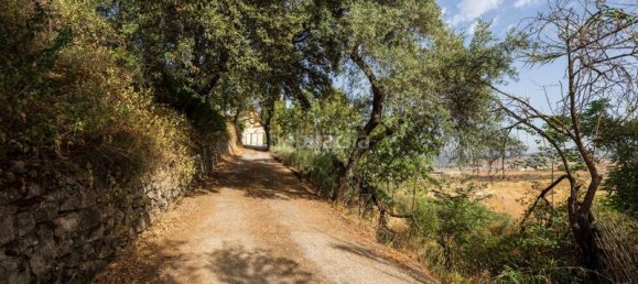 8 Schlafzimmer Haus in Granada, Spain, Nr. 169743 4
