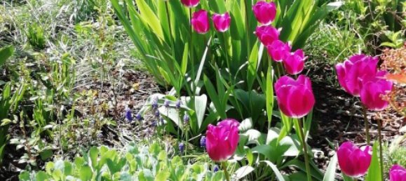 Terrain à Worms, Germany No. 270302 10