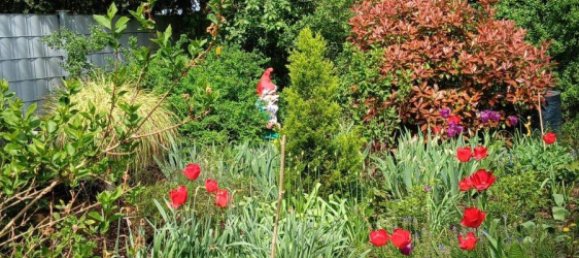 Terrain à Worms, Germany No. 270302 11