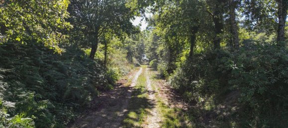 9 غرف نوم منزل في Pacos de Ferreira, Portugal رقم 45785 4