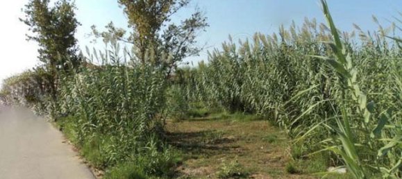 Land for sale in Zakynthos, Ionian Islands, Peloponnese, Western Greece and the Ionian, Greece № 484 3