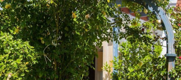 Edifício de 4 divisões em Alzey-Worms, Germany N.º 226220 22