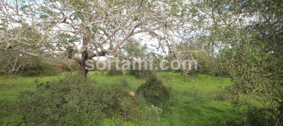 27480m² Land in Sao Bartolomeu de Messines, Portugal No. 80155 2