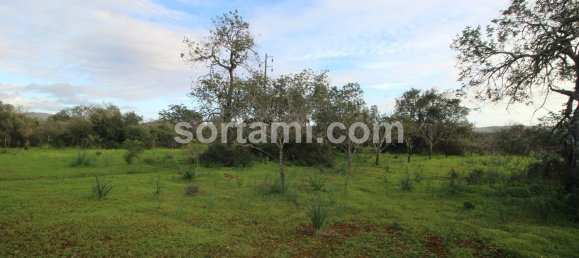27480m² Land in Sao Bartolomeu de Messines, Portugal No. 80155 3