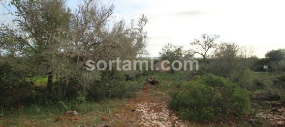27480m² Land in Sao Bartolomeu de Messines, Portugal No. 80155 5
