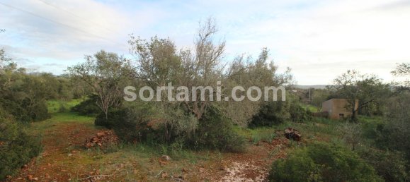 27480m² Land in Sao Bartolomeu de Messines, Portugal No. 80155 6