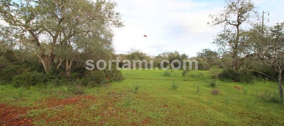 27480m² Land in Sao Bartolomeu de Messines, Portugal No. 80155 4