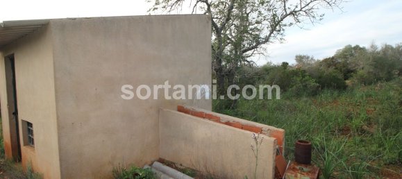 27480m² Land in Sao Bartolomeu de Messines, Portugal No. 80155 8