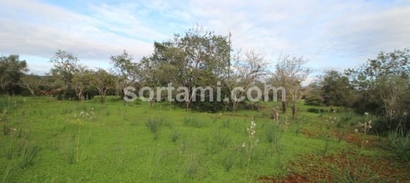 27480m² Land in Sao Bartolomeu de Messines, Portugal No. 80155 7
