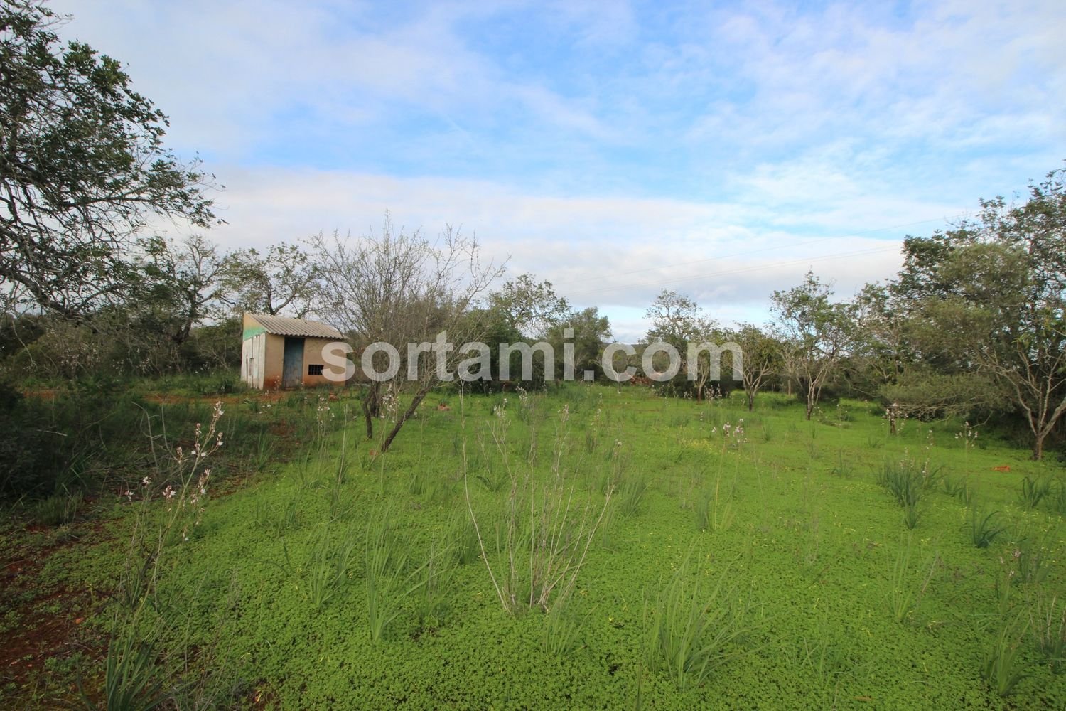 27480m² Land in Sao Bartolomeu de Messines, Portugal No. 80155