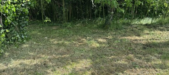 3 chambres Maison à Deux-Sèvres, France No. 327135 16