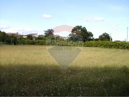 Земельный участок 11700м² в Сан Педру ду Сул, Португалия № 48372