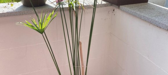 1 Schlafzimmer Wohnung in Rostock, Germany, Nr. 336617 4