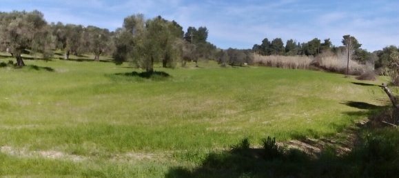 18480m² Hotel in Chalkidiki, Greece No. 5778 3