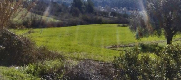 18480m² Hotel in Chalkidiki, Greece No. 5778 2