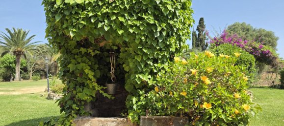 6 bedrooms Villa in Mallorca, Spain No. 162481 49