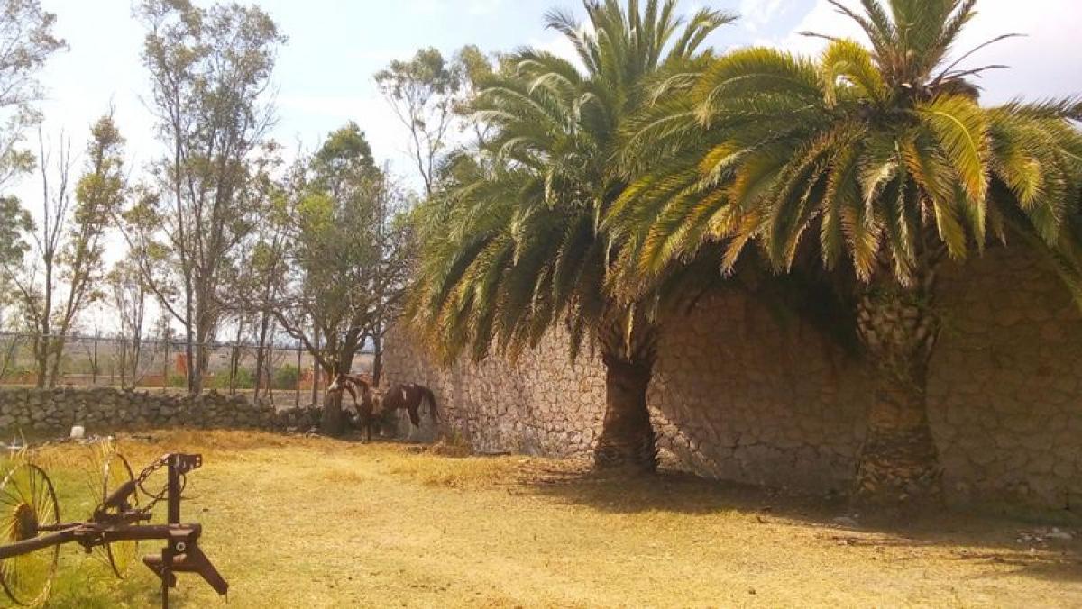  Land in Polotitlan, Mexico No. 203289