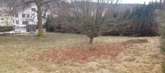  قطعة أرض في Gerardmer, France رقم 349982 4