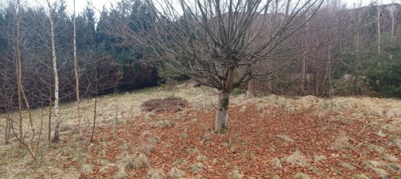  قطعة أرض في Gerardmer, France رقم 349982 2