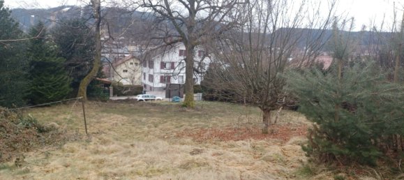  قطعة أرض في Gerardmer, France رقم 349982 6