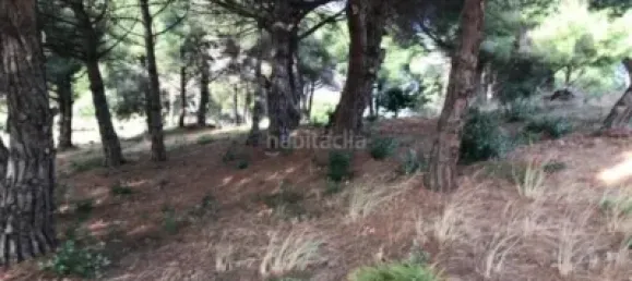  قطعة أرض في Canet de Mar, Spain رقم 143025 7