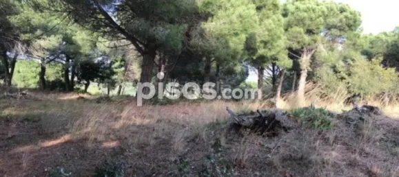  قطعة أرض في Canet de Mar, Spain رقم 143025 6