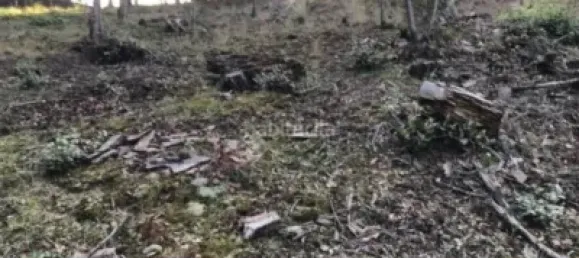  قطعة أرض في Canet de Mar, Spain رقم 143025 5