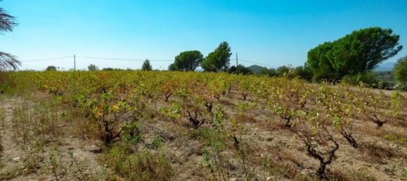 4 Schlafzimmer Haus in Sant Climent Sescebes, Spain, Nr. 185027 17