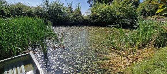 3 غرف نوم قلاع في Vievy-le-Raye, France رقم 230604 16