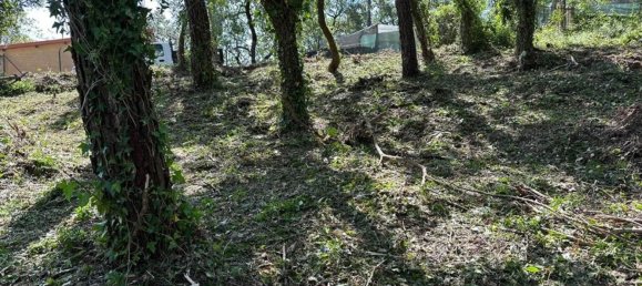 Grundstück in Coimbra, Portugal 1890m², Nr. 79969 20