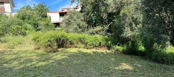 Grundstück in Coimbra, Portugal 1890m², Nr. 79969 2