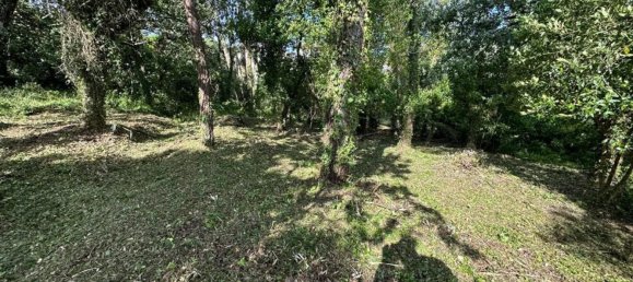 Grundstück in Coimbra, Portugal 1890m², Nr. 79969 21