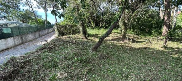 Grundstück in Coimbra, Portugal 1890m², Nr. 79969 17