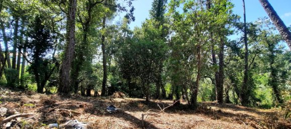 Grundstück in Coimbra, Portugal 1890m², Nr. 79969 18