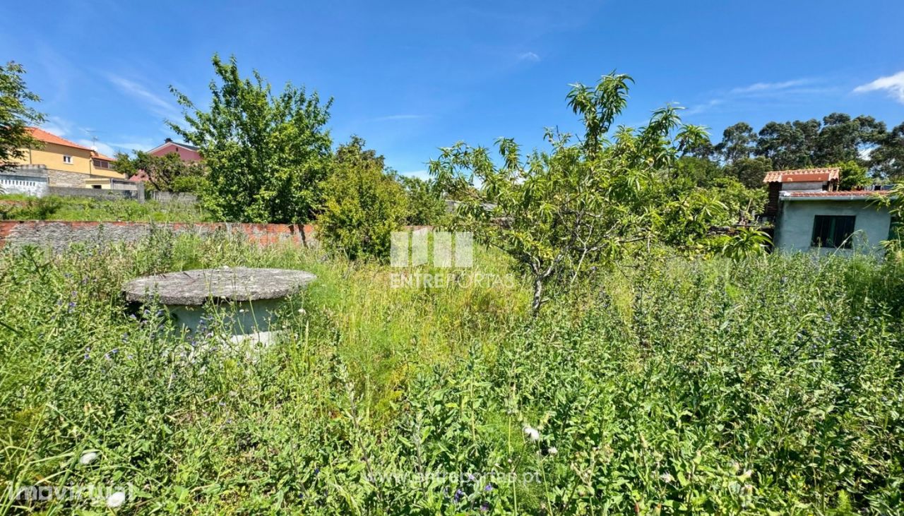 521m² Land in Viana do Castelo, Portugal No. 203863