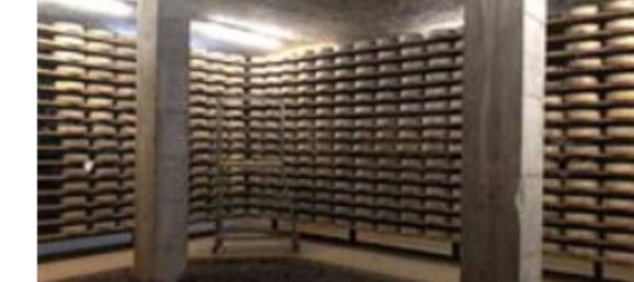 2022m² Warehouse in Cosio Valtellino, Italy No. 270845 9