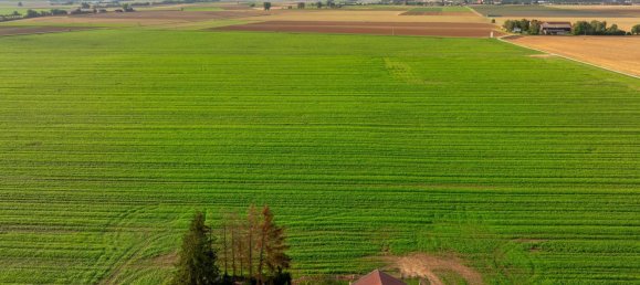 9 Schlafzimmer Stadthaus in Straubing-Bogen, Germany, Nr. 208825 10
