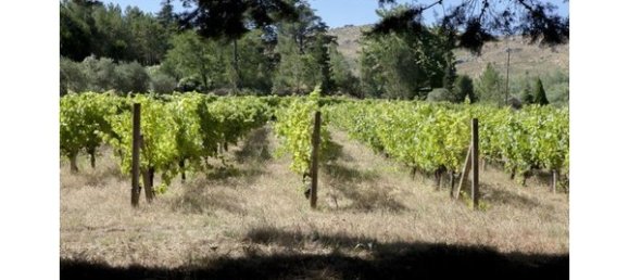 20 bedrooms House in Abrunhosa a Velha, Portugal No. 41372 5