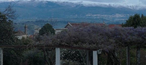 20 bedrooms House in Abrunhosa a Velha, Portugal No. 41372 7