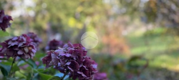 2 غرف نوم شقة في Introd, Italy رقم 85129 26