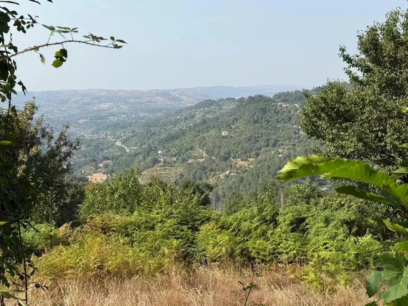 2-salle Maison à Cinfaes, Portugal No. 259613