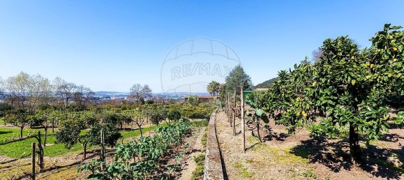 6 bedrooms House in Santo Tirso, Portugal No. 55743 22