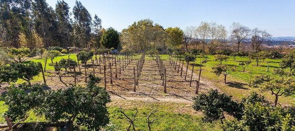 6 bedrooms House in Santo Tirso, Portugal No. 55743 19